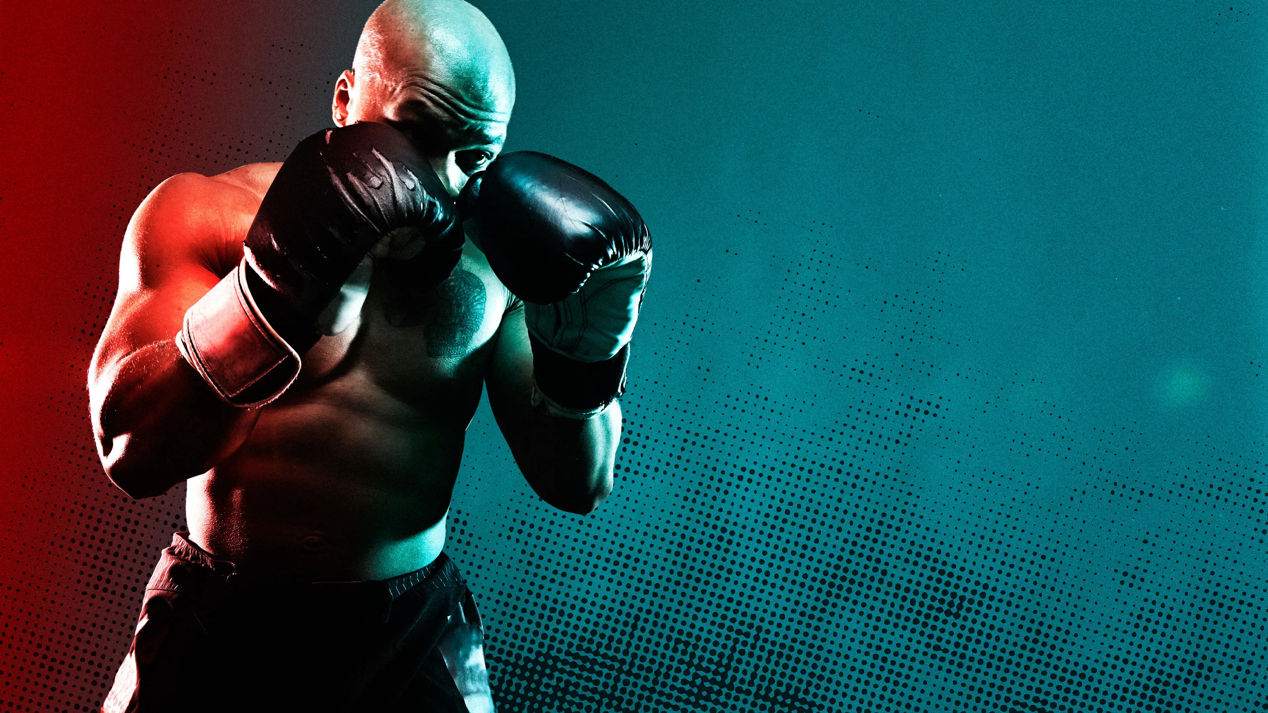 boxing gloves punch
